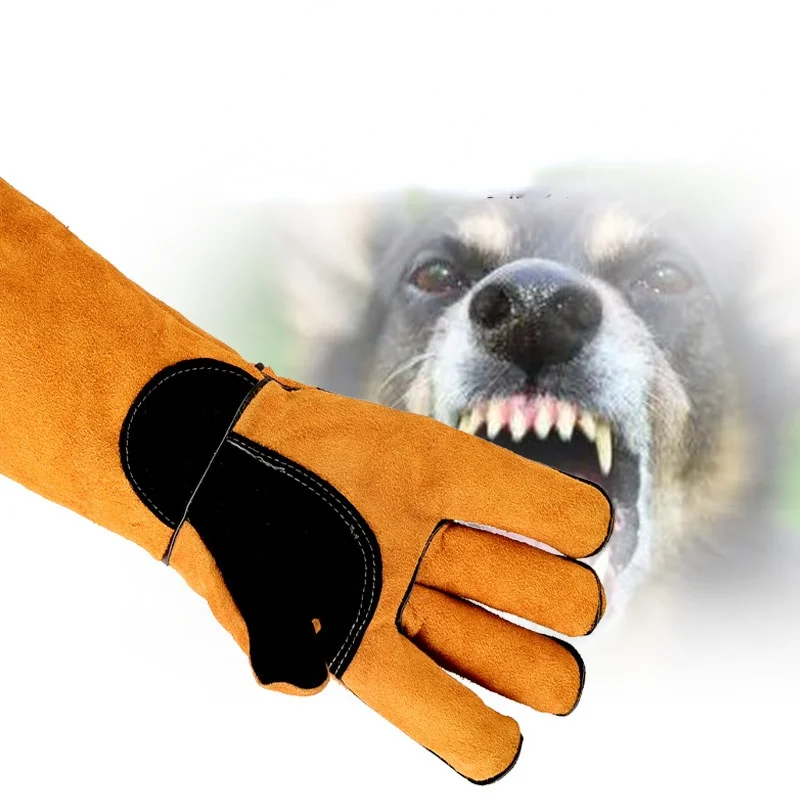 Pet Gloves Cowhide Leather Ant - Leatherwork Training review and price