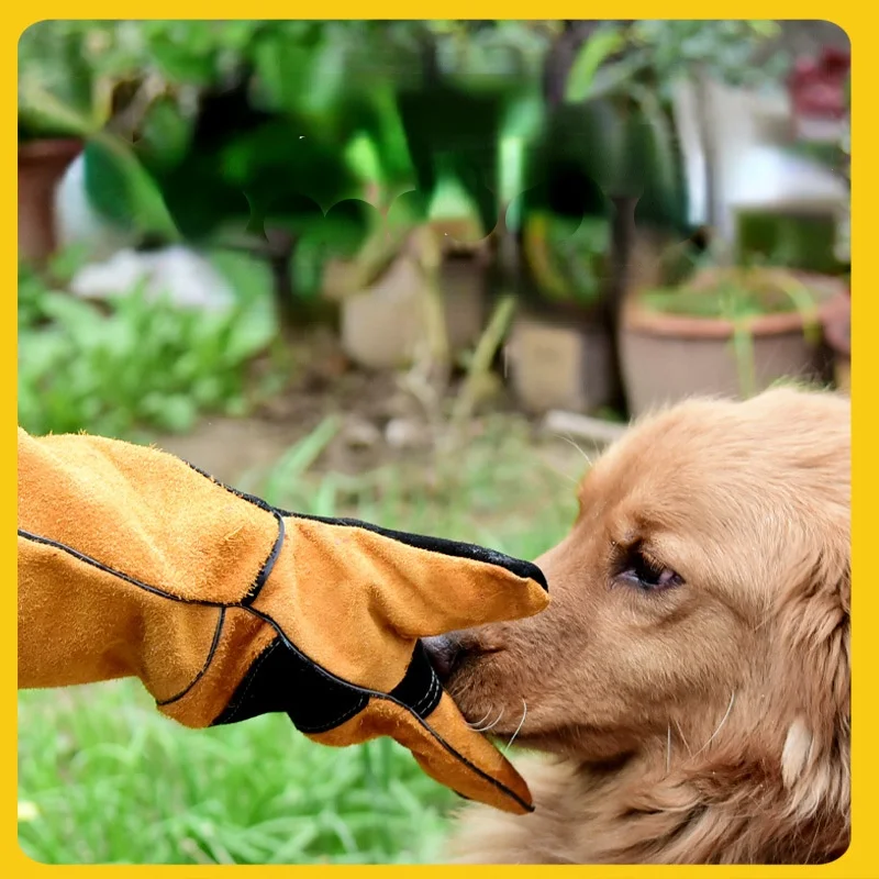 Pet Gloves Cowhide Leather Ant - Leatherwork Training review and price