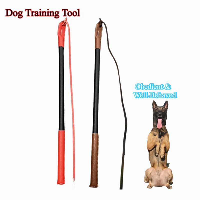 Leather Crack Whip - Dog Train - Leatherwork Training review and price