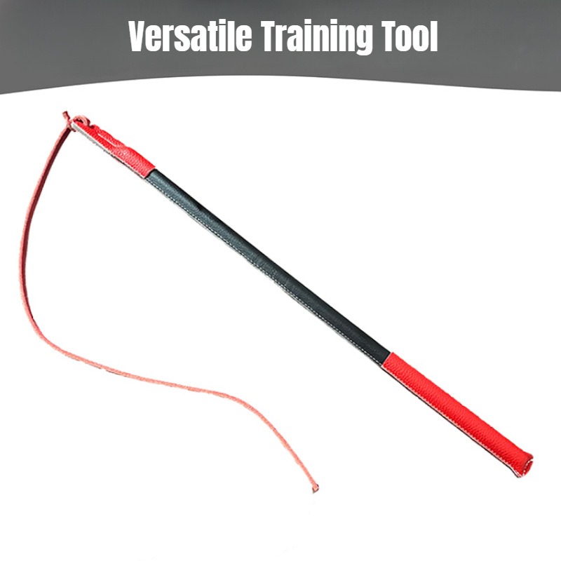 Leather Crack Whip - Dog Train - Leatherwork Training review and price