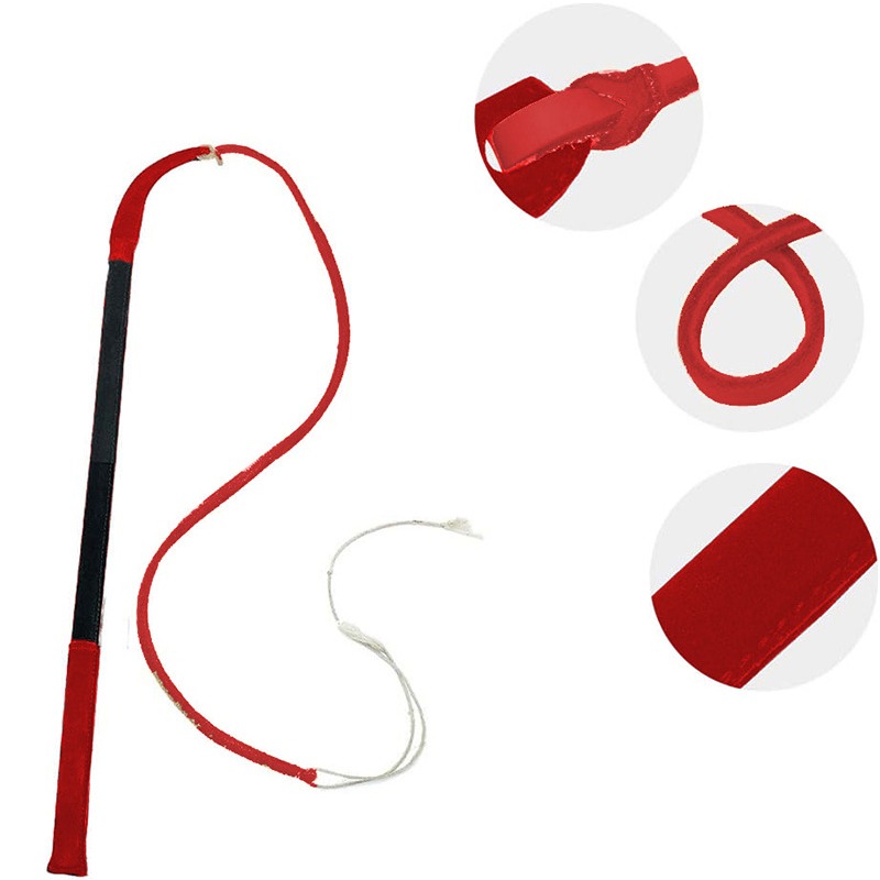 Leather Crack Whip - Dog Train - Leatherwork Training review and price