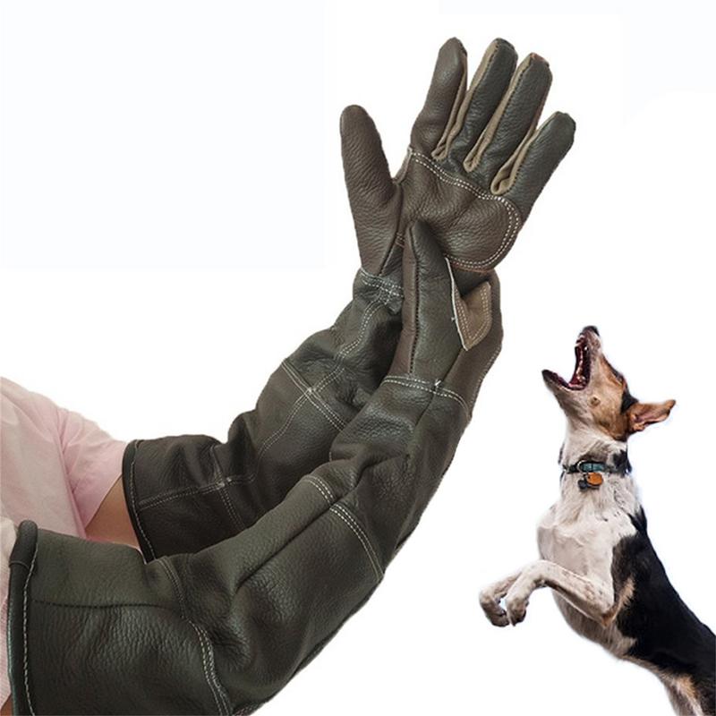 Pet Gloves Cowhide Leather Ant - Leatherwork Training review and price