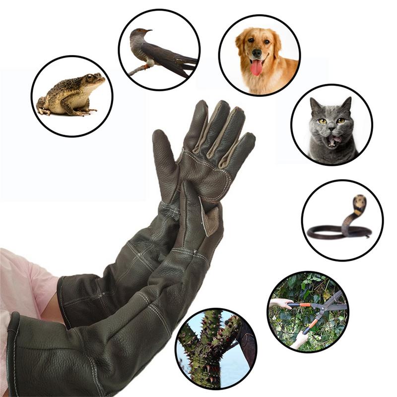 Pet Gloves Cowhide Leather Ant - Leatherwork Training review and price