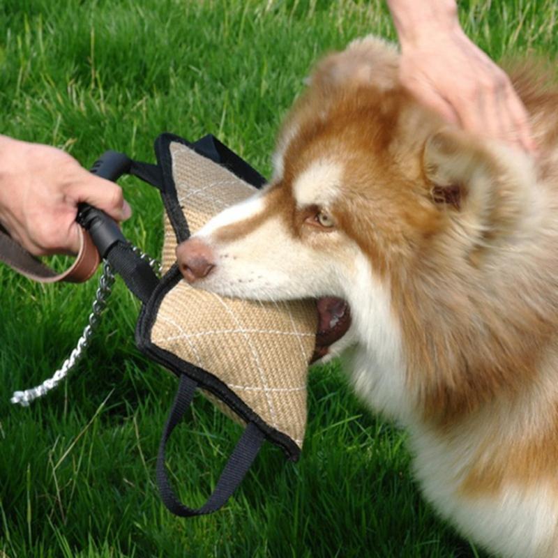 Dog Bite Tug Training Pillow I - Leatherwork Training review and price
