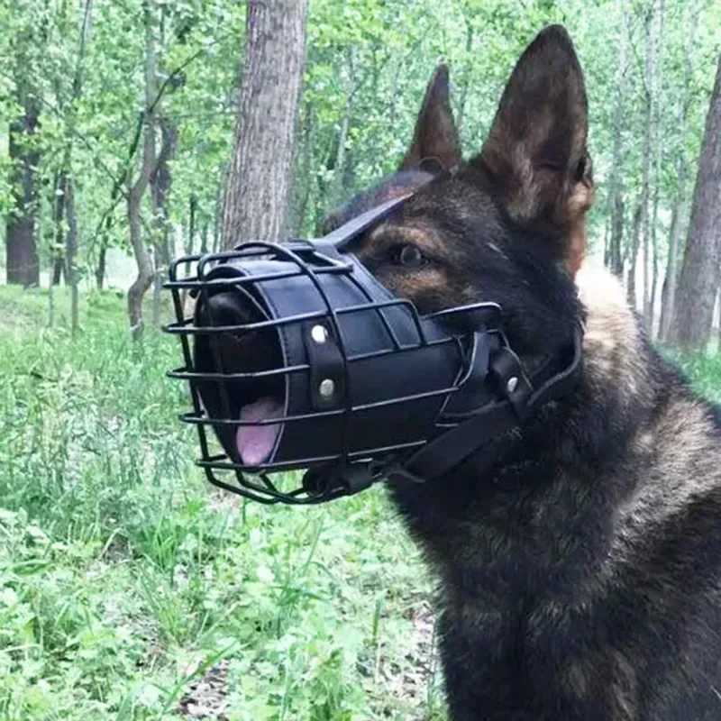 Mouth Cage German Shepherd Dog - Leatherwork Training review and price