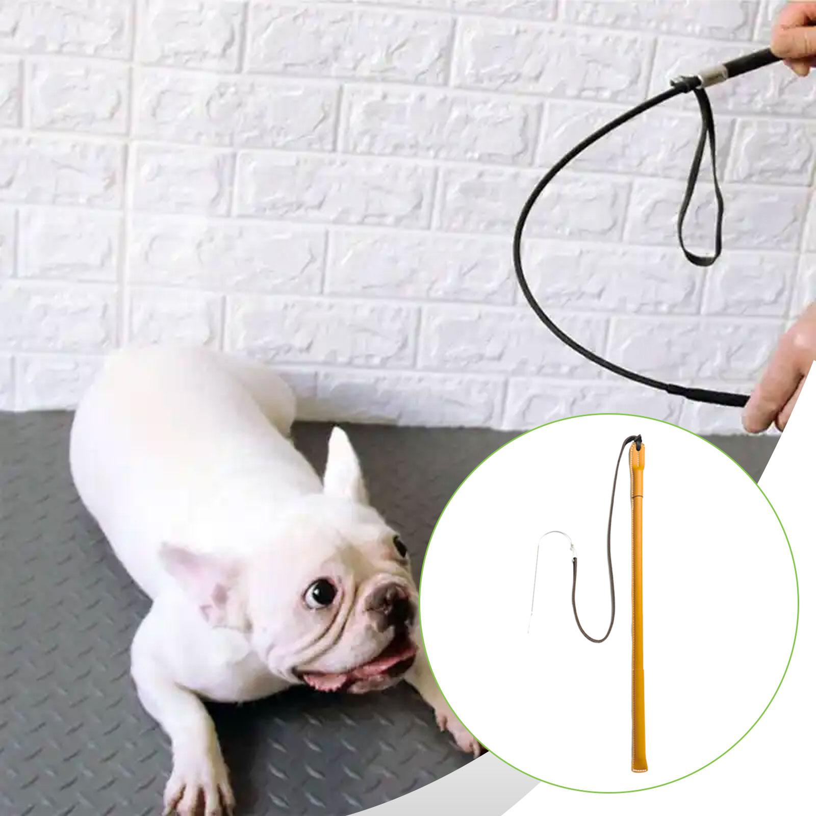 Wear Resistant PU Leather Dog  - Leatherwork Training review and price