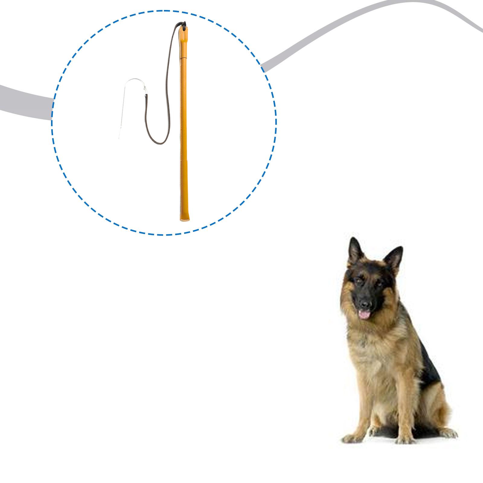 Wear Resistant PU Leather Dog  - Leatherwork Training review and price