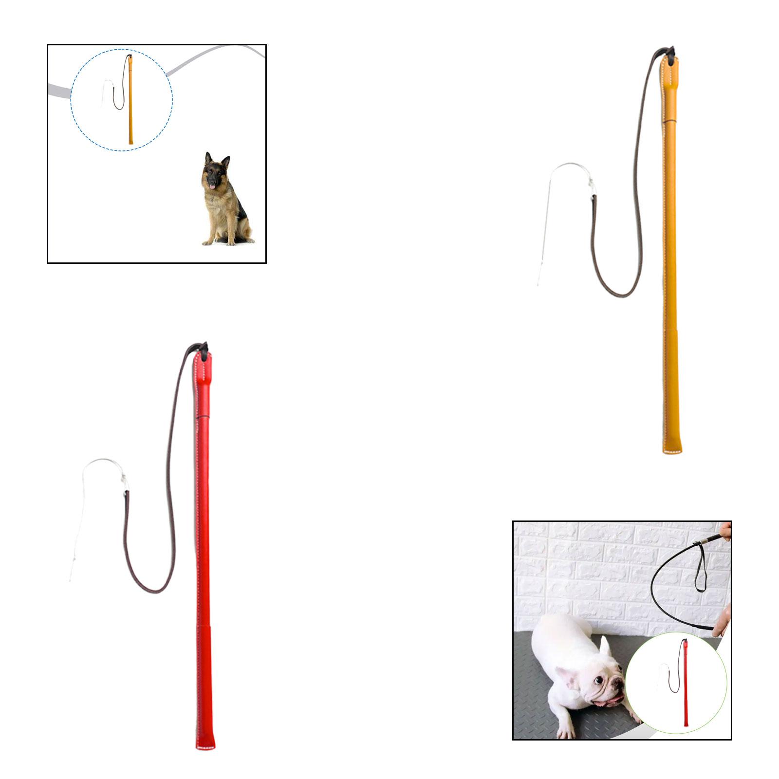 Wear Resistant PU Leather Dog  - Leatherwork Training review and price
