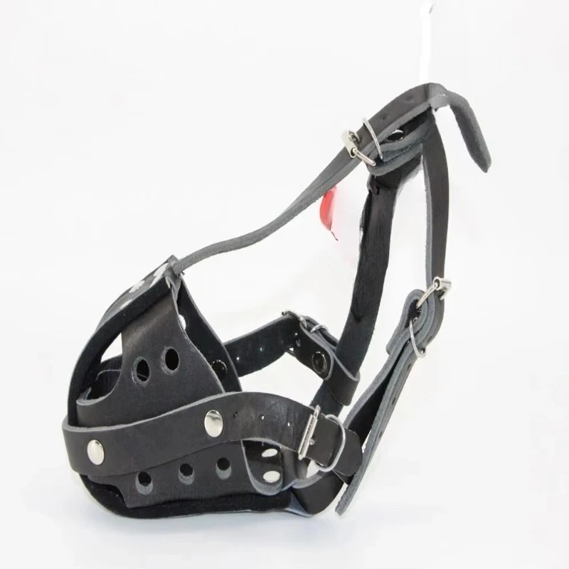 Tactical Dog Leather Working D - Leatherwork Training review and price