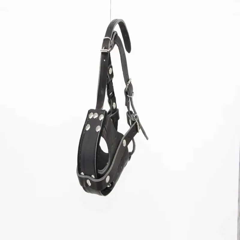 Tactical Dog Leather Working D - Leatherwork Training review and price